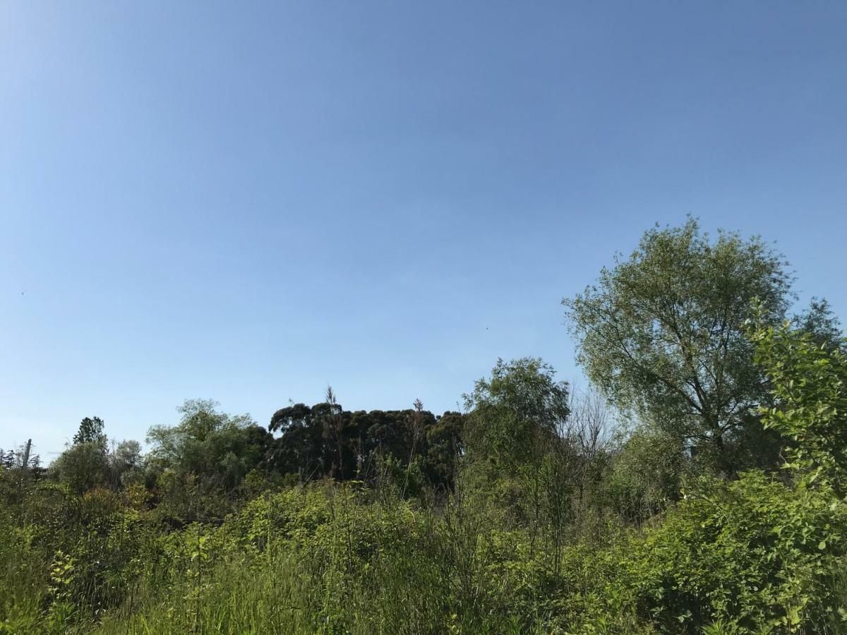 Ainar Gagry Exterior photo
